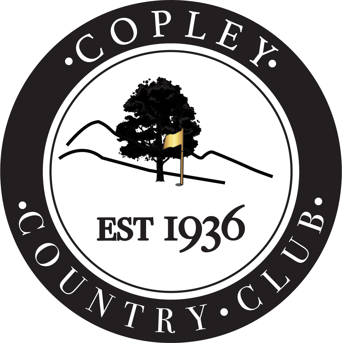 Copley Circle black gold flag